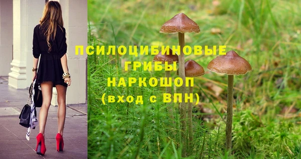 ALPHA PVP Верхнеуральск