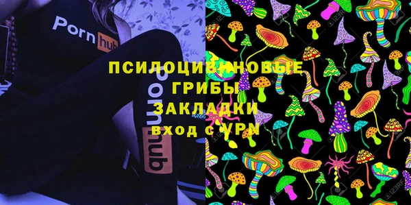 СК Верхний Тагил