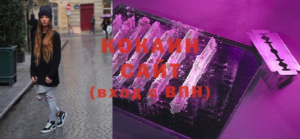 прущие грибы Богородск