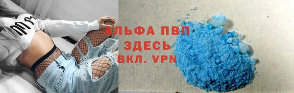 хмурый Каменка